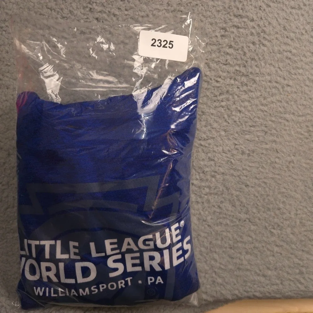 Adidas Little League World Series Hoodie Mens L Blue ClimaWarm Williamsport